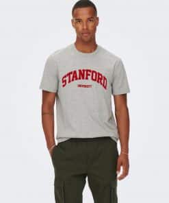 Only & Sons Jake Stanford T-shirt Grey