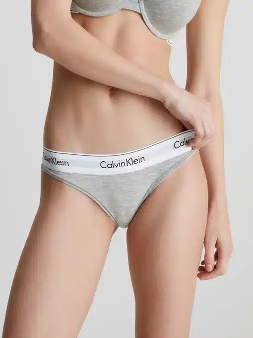 Calvin Klein Modern Cotton Bikini Brief  Grey Heather